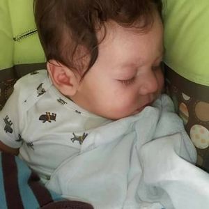 Meet your Posher, Leonardo